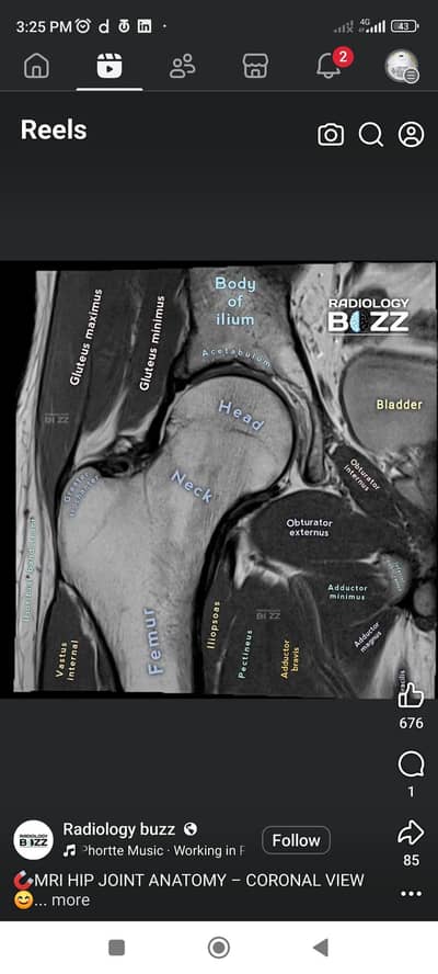 DR AVAILABLE FOR CLINIC AND HOSPITAL