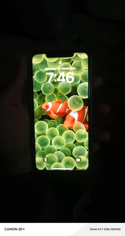 Iphone 11 pro max  Non Pta