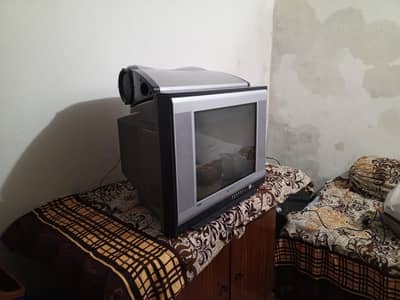Television