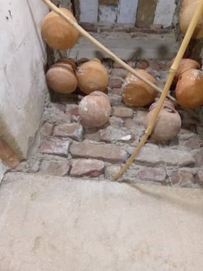 Australian parrot matki