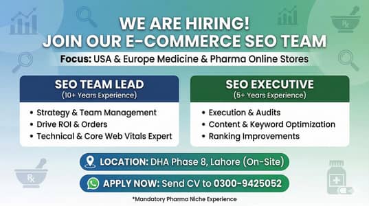 EXPERIENCED SEO TEAM LEAD AND SEO EXECUTIVE