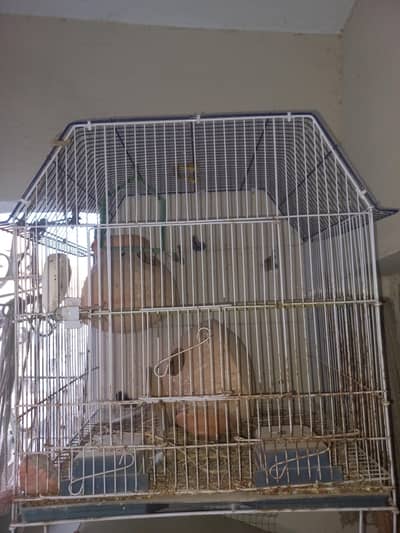 Cages For Sale (2 cages)