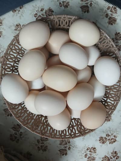 Hens desi eggs available.