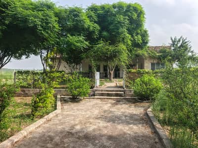 New air port sy sirf 15mnt ke drive 11lk pr knal sasta treen fam house