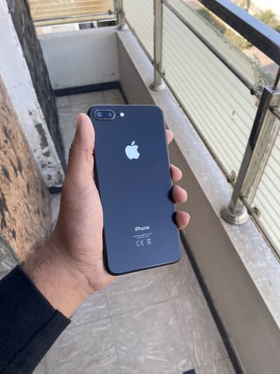 iPhone 8 Plus 256 Gb All okay Non pta