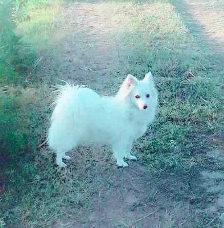 cntct whstsapp 03401655802 0