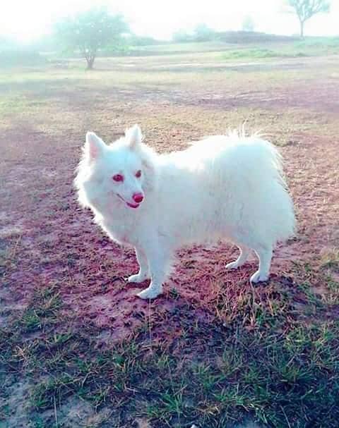 cntct whstsapp 03401655802 1