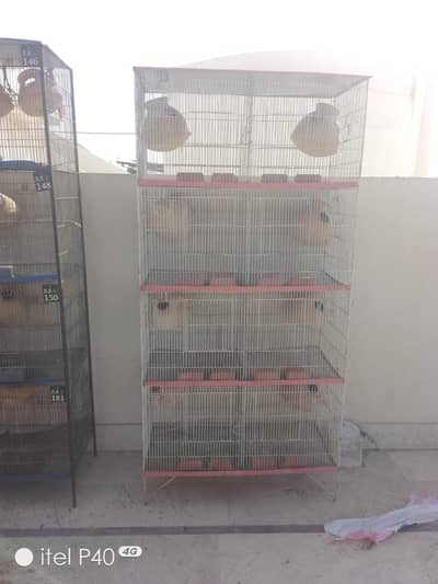 6 cages (2 of 12 blocks) and (4 of 8 blocks) 8000 per cage