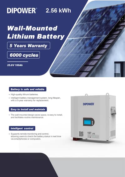 DIPOWER LiFePO4 China Importer