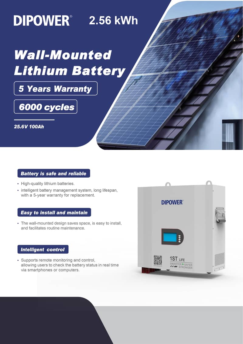 DIPOWER LiFePO4 China Importer - Batteries - 1109660558