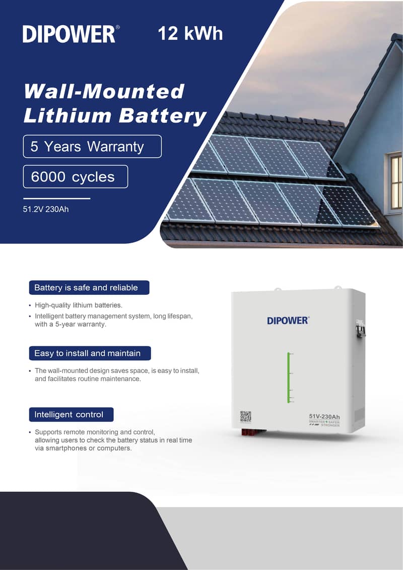 DIPOWER LiFePO4 China Importer - Batteries - 1109660558