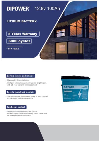 DIPOWER LiFePO4 China Importer