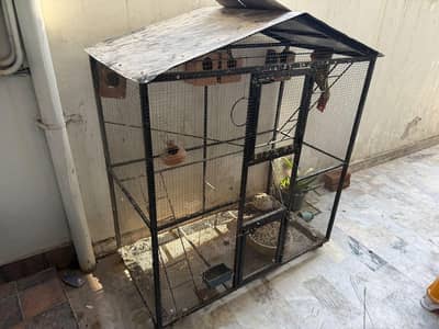 parrot cage