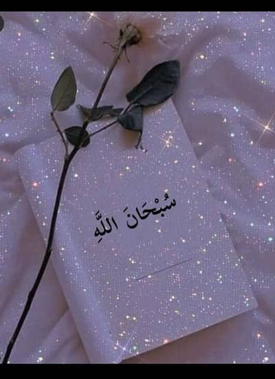 Top quality hen  for sale