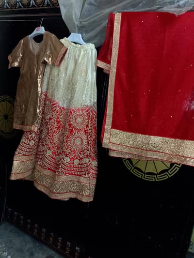 indian Lehnga with shirt and net dupata small  size to  medium