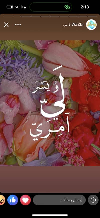 House maid cooking +cleaning