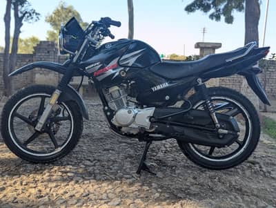 YAMAHA YBR 125 G 03313939676