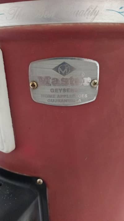 Master instant gas gyser