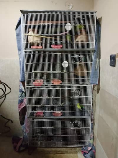 bird cage