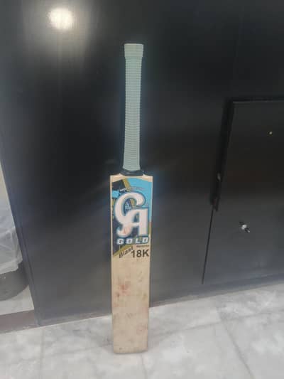 hard ball cricket bat
