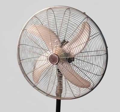 Pedestal Fan (Standing Fan)
