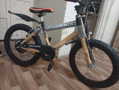 bicycle fatty tire 20 size