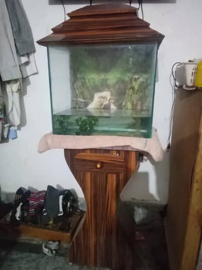 Acuariums - Fish Tank - Luxury Aquarium with 1 fish for sale