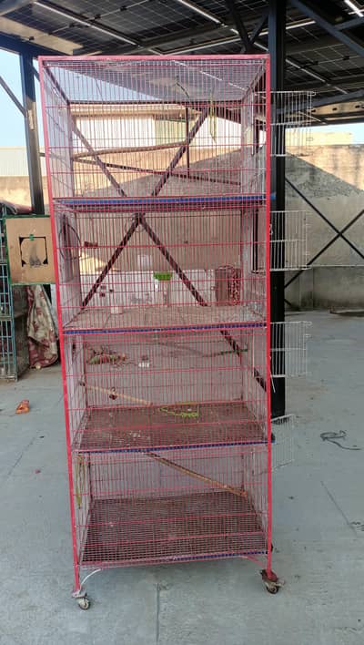 4 portioned cage 10 on 10 condition