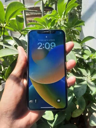 only serious buyer contact