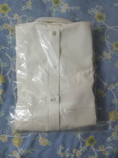 pent coat gray with white shirt