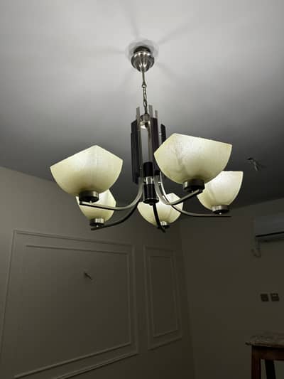 Chandelier and shades for sale