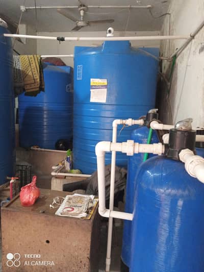 water plant for sale