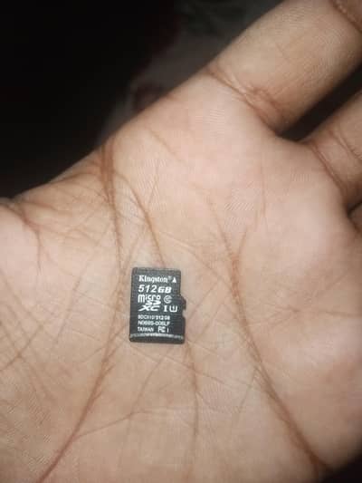 Kingston__512 GB__SD CARD.