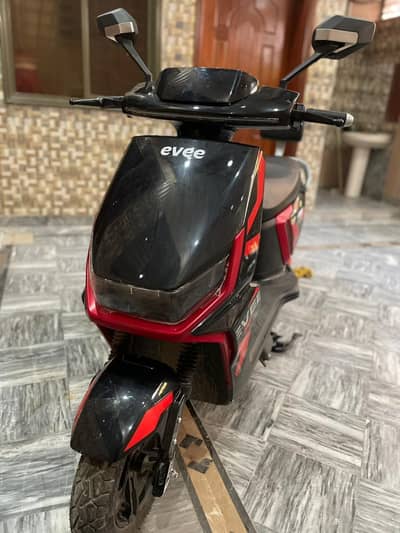 evee scoty