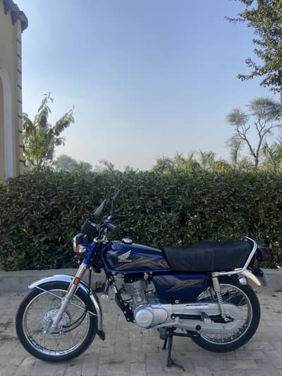 Honda CG125 2025 Model Punjab Registered For Sale 03027242326