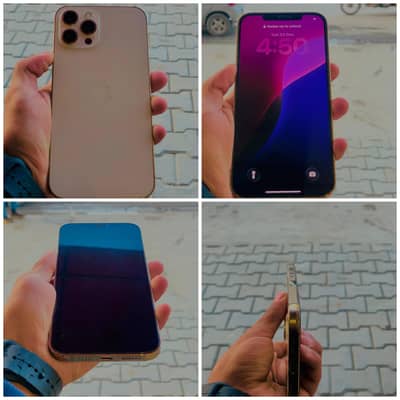 Fresh Condition Back pr jelly lgai hui hai