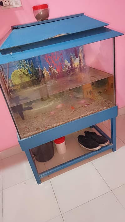 fish aquarium for sale