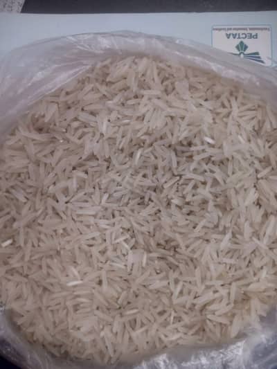 100% Pure Basmati Rice – Extra Long Grain – Export Quality