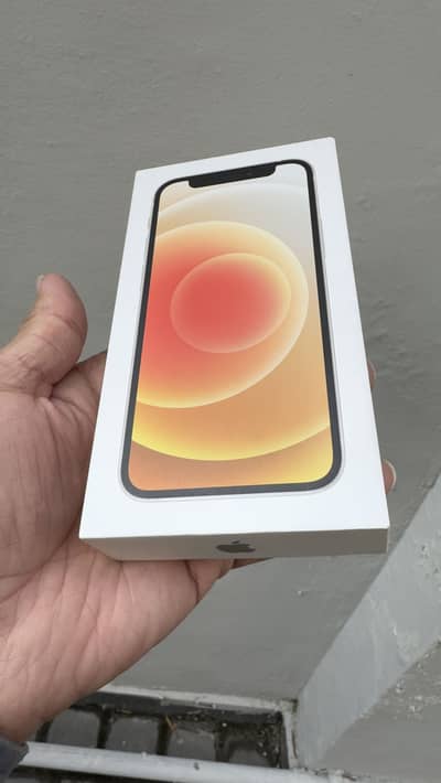 iphone 12 mini Pta approved