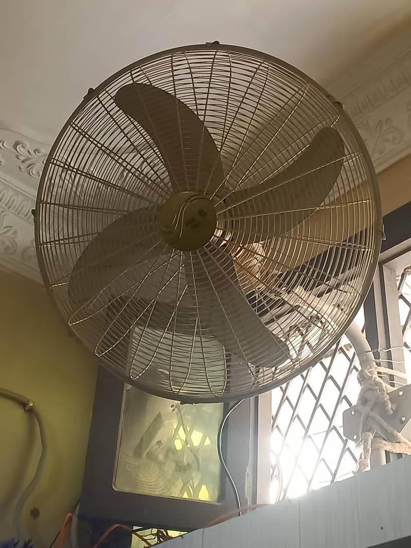 Pak fan 1