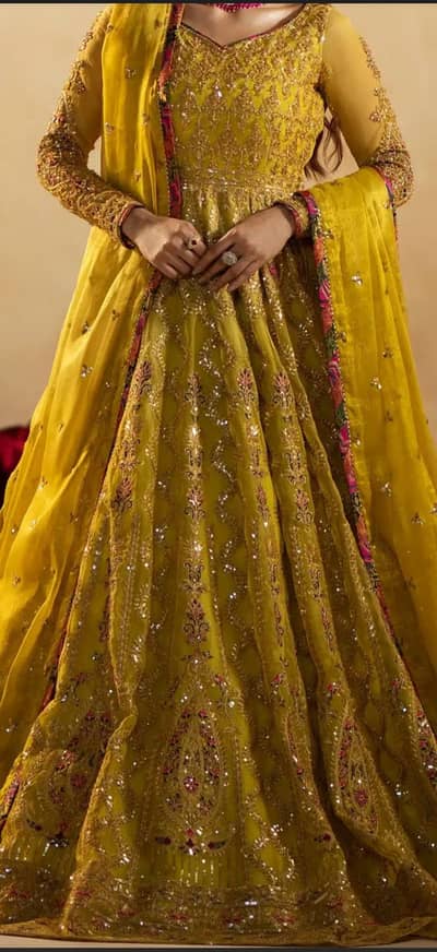 Long Flair Maxi Party wear dress.