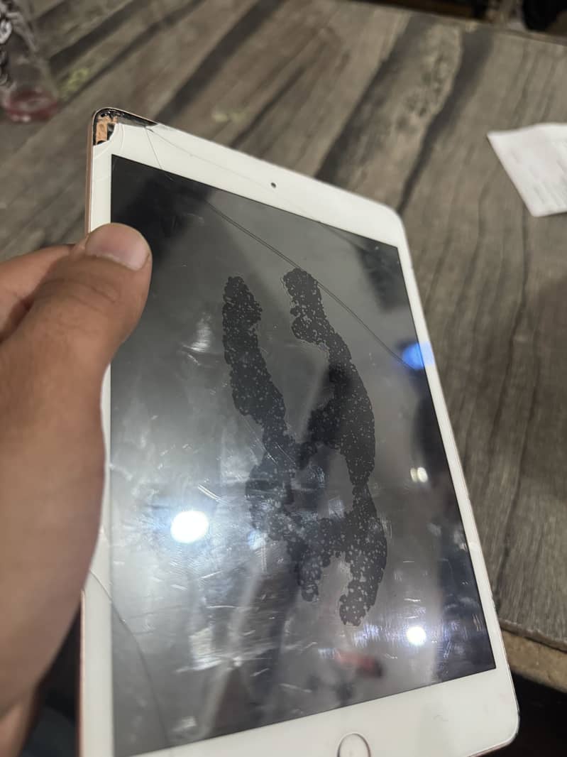 Ipad mini 5 ( Touch Break ) 3