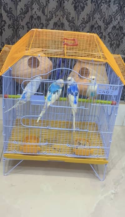 2 Pair With master Cage