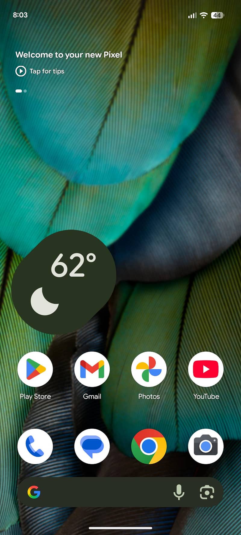 Pixel 7 1