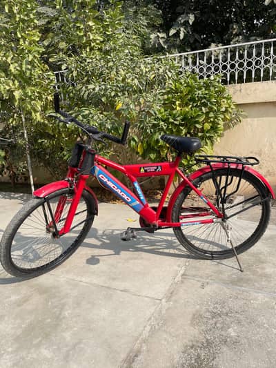 Chicago Mountain bike