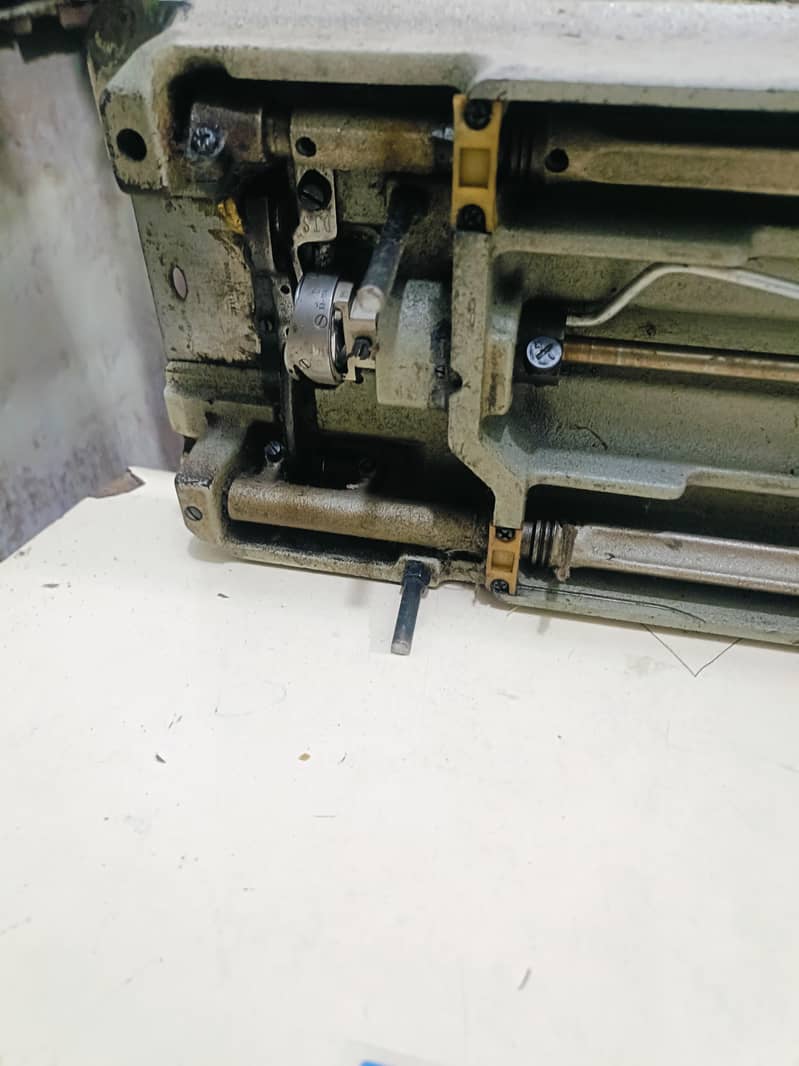 BROTHER HEAD . JUST 5