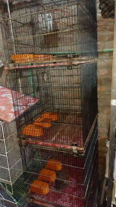 used cage 4 khany wala