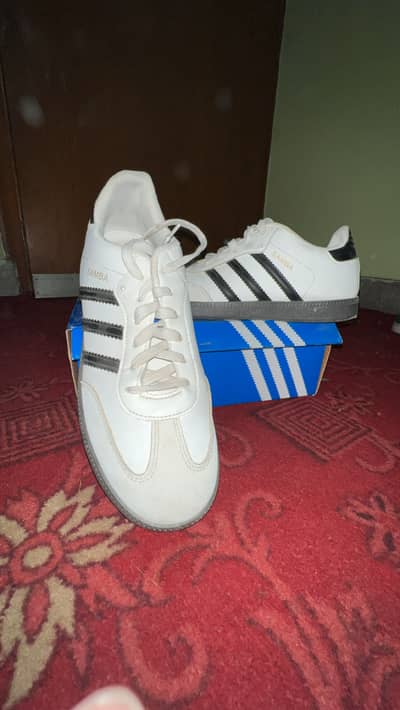 Samba white colour trending