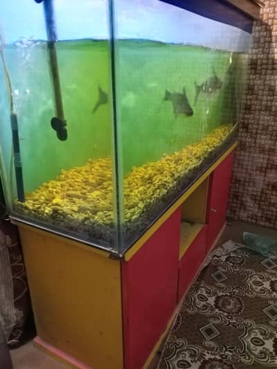 4feet aquarium in good and working condition for sale