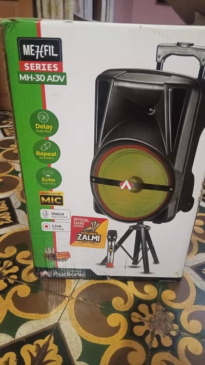 outdoor speaker with mic